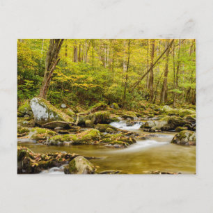 Big Creek North Carolina Postkarte