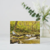 Big Creek | North Carolina Postkarte (Stehend Vorderseite)