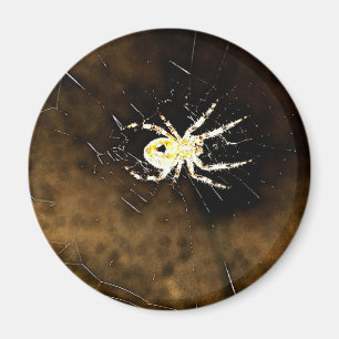 Big Creepy Spider im Web Magnet
