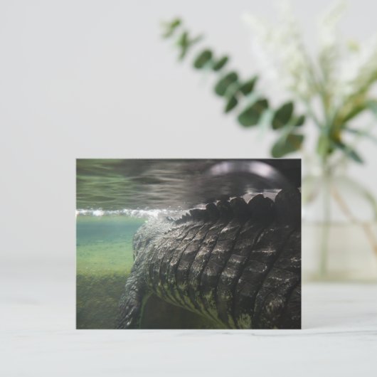 Big Crocodile Postkarte (Stehend Vorderseite)