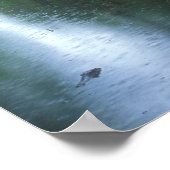 Big Cypress National Preserve Spring Rain Poster (Ecke)