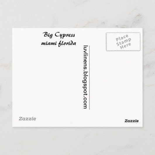 Big Cypress Postkarte (Rückseite)