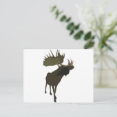Big Daddy Moose Postkarte (Stehend Vorderseite)