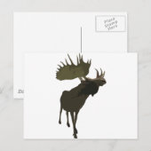 Big Daddy Moose Postkarte (Vorne/Hinten)