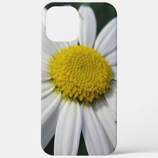 Big Daisy Case-Mate iPhone Hülle (Rückseite)