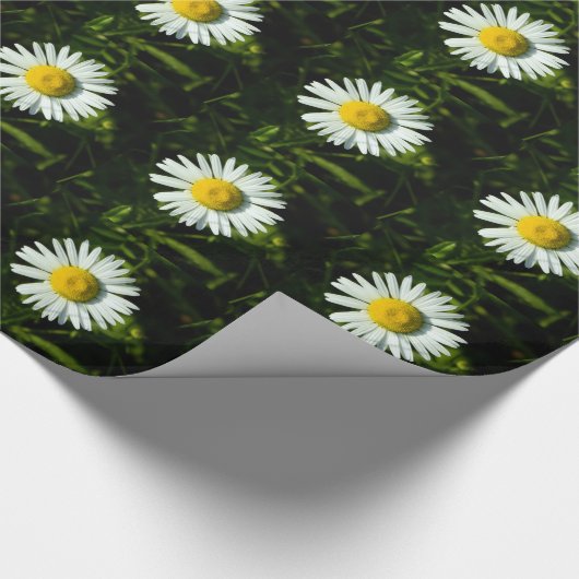Big Daisy Wrapping Paper Geschenkpapier (Ecke)