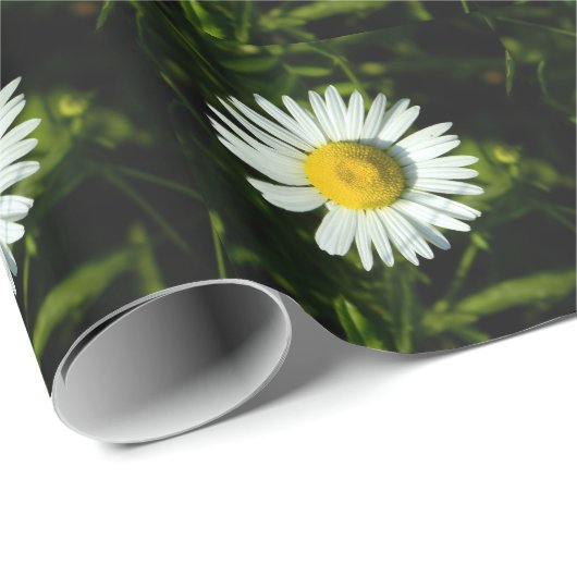 Big Daisy Wrapping Paper Geschenkpapier (Rolleneckpunkt)