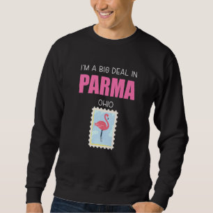Big Deal Sarcastic Pink Flamingo Parma Ohio Sweatshirt