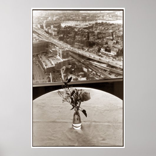 Big-Dig-Rose Poster (Vorne)