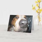 Big Dog Nose Notecard Karte (Gelbe Blume)