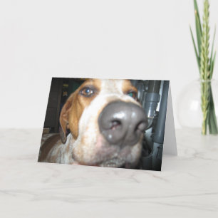 Big Dog Nose Notecard Karte