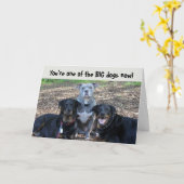 Big Dogs Now Abschluss Card Karte (Gelbe Blume)