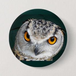 Big Eye Owl Button