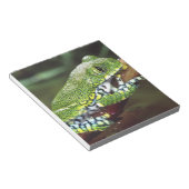Big Eye Treefrog, Leptopelis miculatus, Notizblock (angewinkelt)