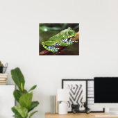 Big Eye Treefrog, Leptopelis miculatus, Poster (Heimbüro)