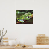 Big Eye Treefrog, Leptopelis miculatus, Poster (Küche)