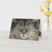 Big Face Cat Birthday Karte (Gelbe Blume)