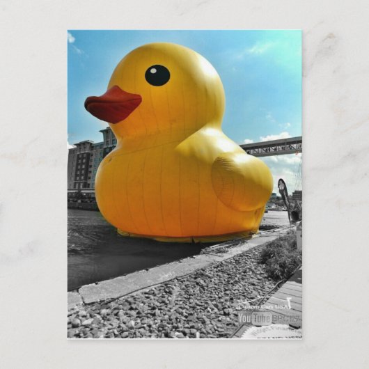 Big Famous Rubber Duck in Erie PA Postkarte (Vorderseite)