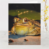 Big Fat Toad Karte (Gelbe Blume)