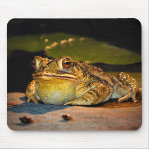 Big Fat Toad Mousepad