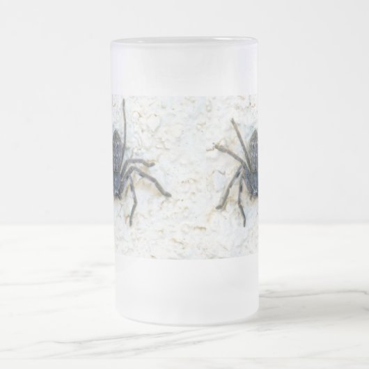 Big Female Huntsman Spider, Mattglas Bierglas (Mittel)