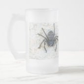 Big Female Huntsman Spider, Mattglas Bierglas (Links)