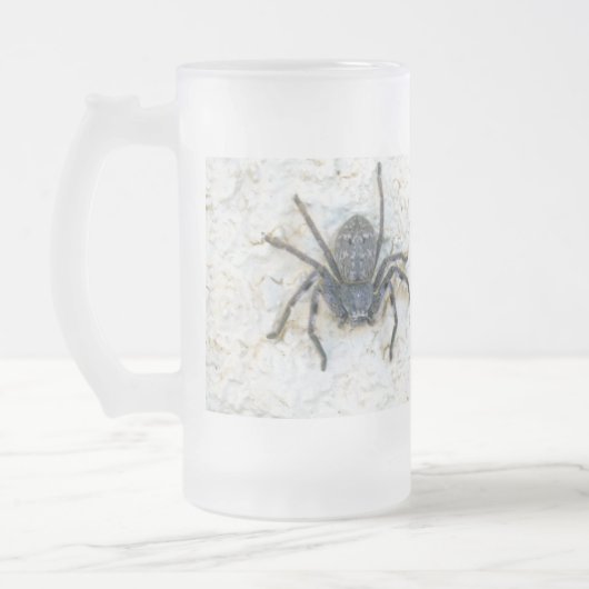 Big Female Huntsman Spider, Mattglas Bierglas (Links)