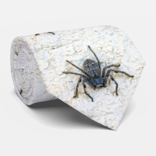 Big Female Huntsman Spider, Neck Tie Krawatte (Gerollt)