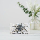 Big Female Huntsman Spider, Visitenkarte (Stehend Vorderseite)