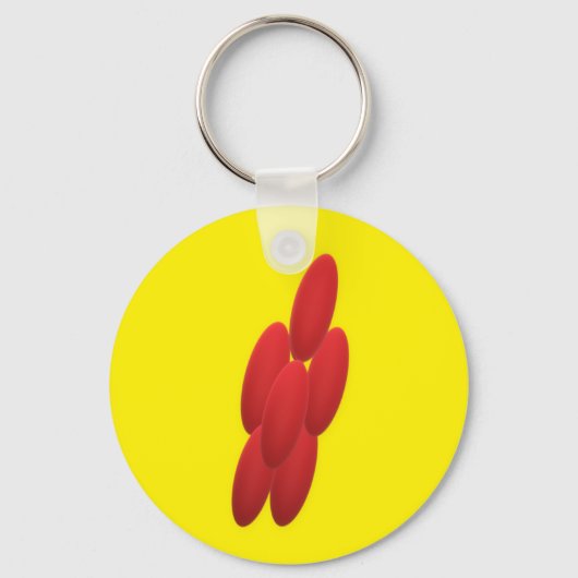 BIG FETTBÜHNE STREIFEN KREISE SCHLÜSSELANHÄNGER (Rückseite)