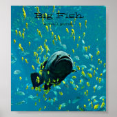 Big Fish. kleiner Teich. Poster (Vorne)