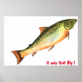 Big Fish Poster (Vorne)