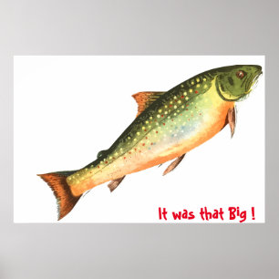 Big Fish Poster