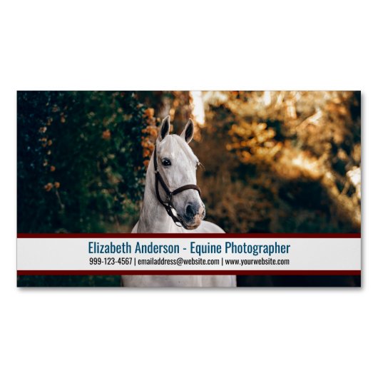 Big Foto Equine Fotograf Business Card Magnet (Vorderseite)