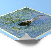 Big Frog Großes Poster (Ecke)