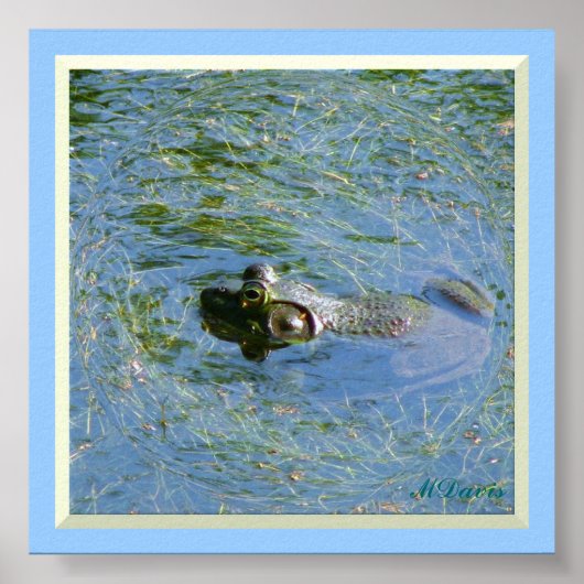 Big Frog Großes Poster (Vorne)