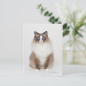 Big Furry Cat Postkarte (Stehend Vorderseite)