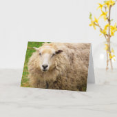 Big Fuzzy Wooly Sheep Geburtstag Karte (Gelbe Blume)