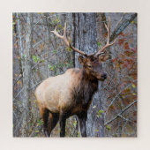 Big Game Hunter - Bull Elk - 20 x 20 Zoll Puzzle (Vertikal)