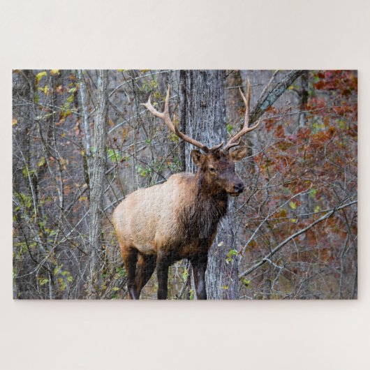 Big Game Hunter - Bull Elk - 20 x 30 Zoll Puzzle (Horizontal)