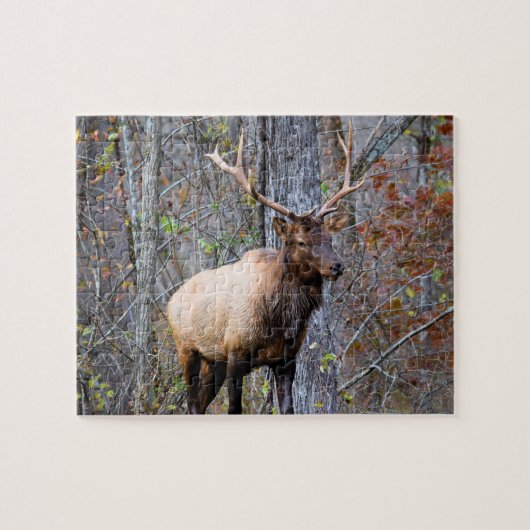 Big Game Hunter - Elchsaison - 8 x 10 Zoll Puzzle (Horizontal)