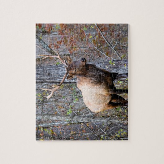 Big Game Hunter - Elchsaison - 8 x 10 Zoll Puzzle (Vertikal)