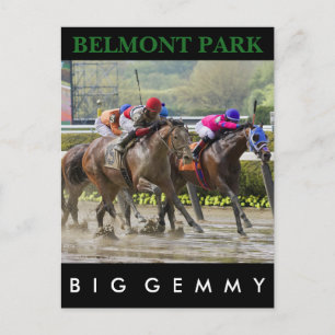 Big Gemmy - Jose Lezcano NY Bred Postkarte