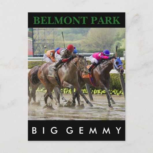 Big Gemmy - Jose Lezcano NY Bred Postkarte (Vorderseite)