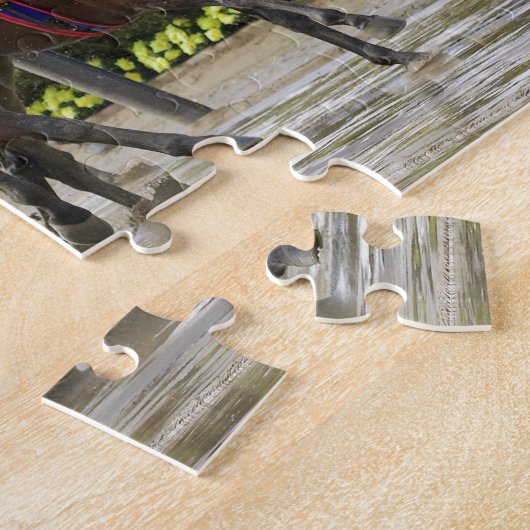 Big Gemmy - Jose Lezcano NY Bred Puzzle (Seite)