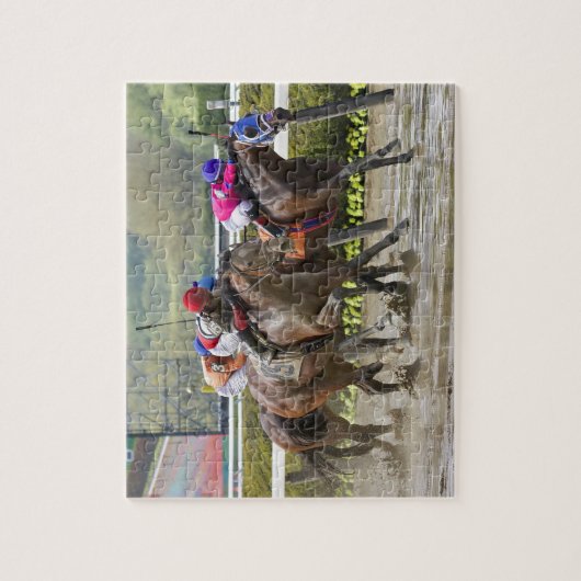 Big Gemmy - Jose Lezcano NY Bred Puzzle (Vertikal)