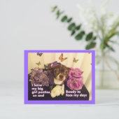 Big Girls Panties Chihuahua Card Postkarte (Stehend Vorderseite)