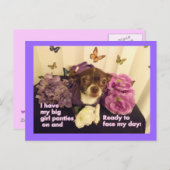 Big Girls Panties Chihuahua Card Postkarte (Vorne/Hinten)
