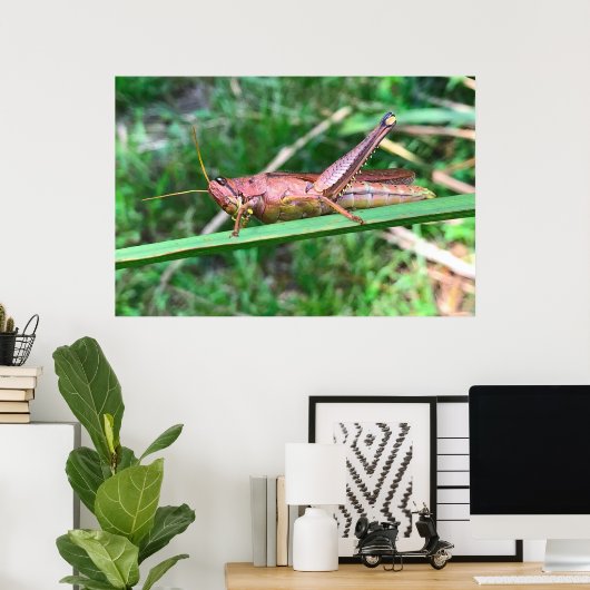 Big Grasshopper Poster (Heimbüro)