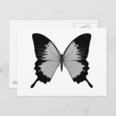 Big Grau & Black Butterfly Postkarte (Vorne/Hinten)